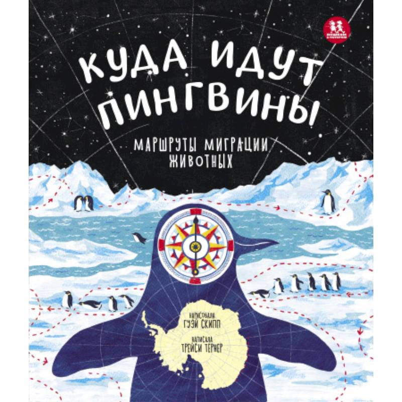 Куда идут пингвины:маршруты миграции животных Куда идут пингвины:маршруты миграции животных
