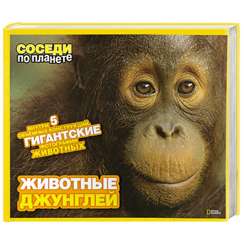 Животные джунглей