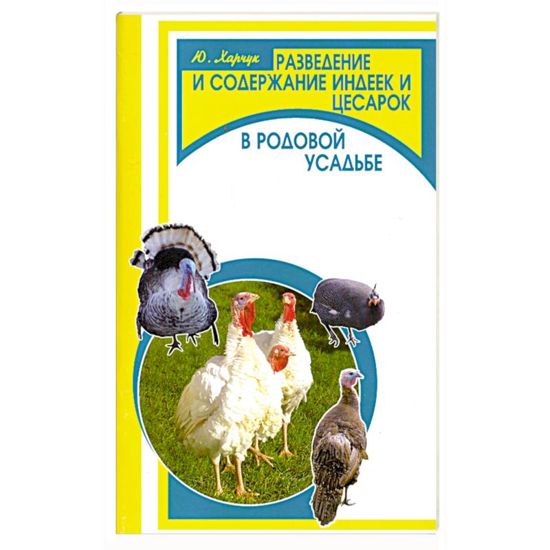 Разведение и содержание индеек и цесарок в родовой усадьбе