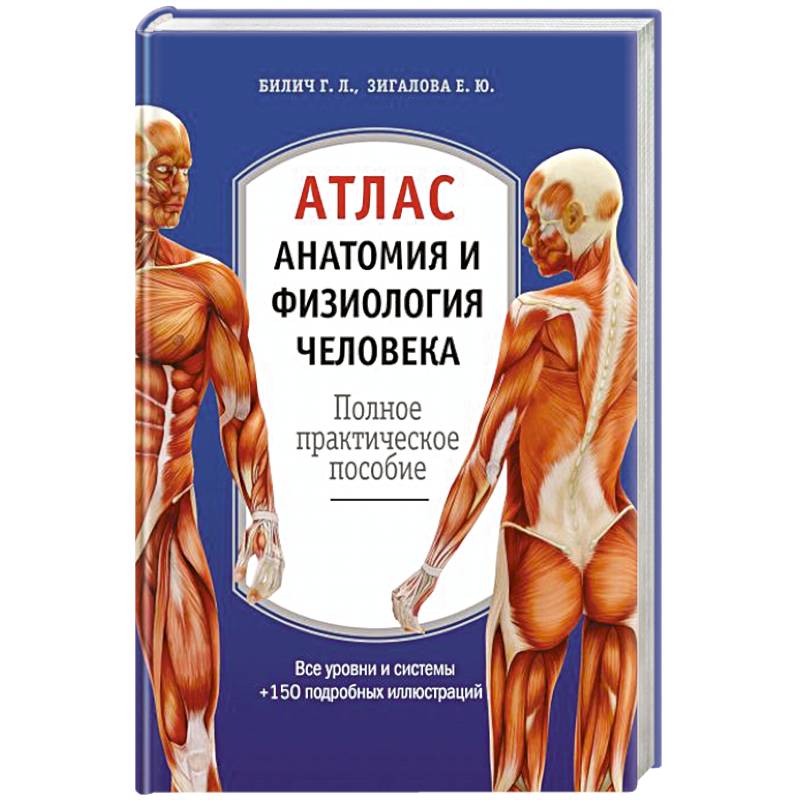 Атлас. Анатомия и физиология человека Атлас. Анатомия и физиология человека