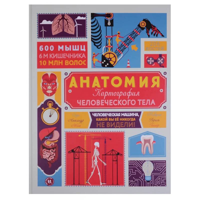 Анатомия. Картография человеческого тела