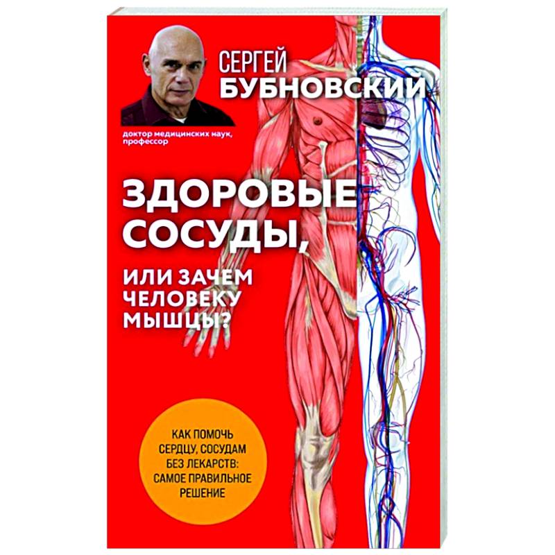 Здоровые сосуды, или Зачем человеку мышцы? Здоровые сосуды, или Зачем человеку мышцы?