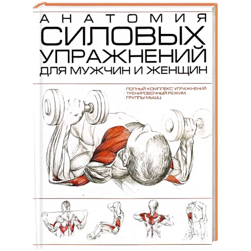Анатомия силовых упражнений для мужчин и женщин Анатомия силовых упражнений для мужчин и женщин