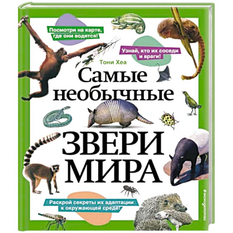 Самые необычные звери мира Самые необычные звери мира