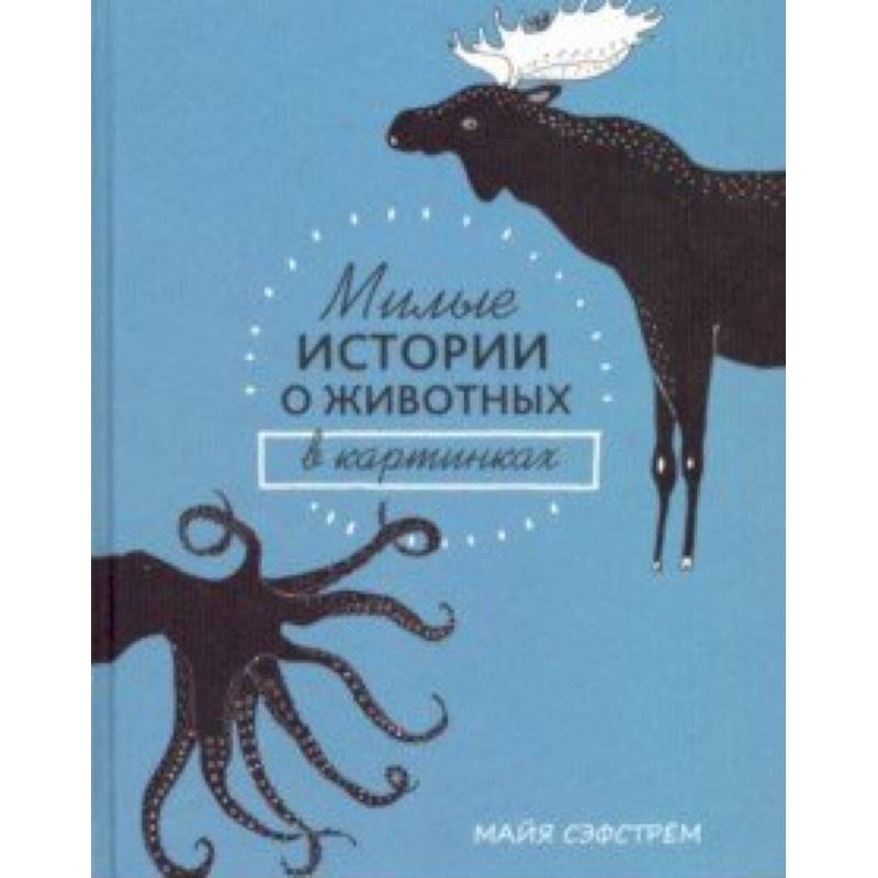 Милые истории о животных в картинках Милые истории о животных в картинках