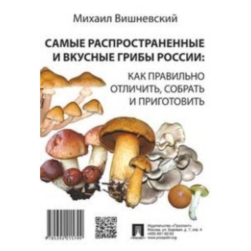 Самые распространенные и вкусные грибы России. Как правильно отличить, собрать и приготовить