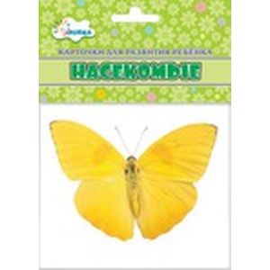 Насекомые (учебные карточки)