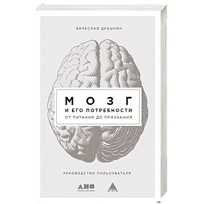 Мозг и его потребности: От питания до признания