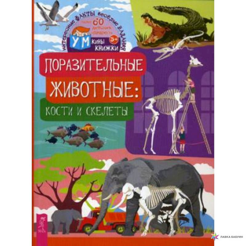 Поразительные животные. Кости и скелеты