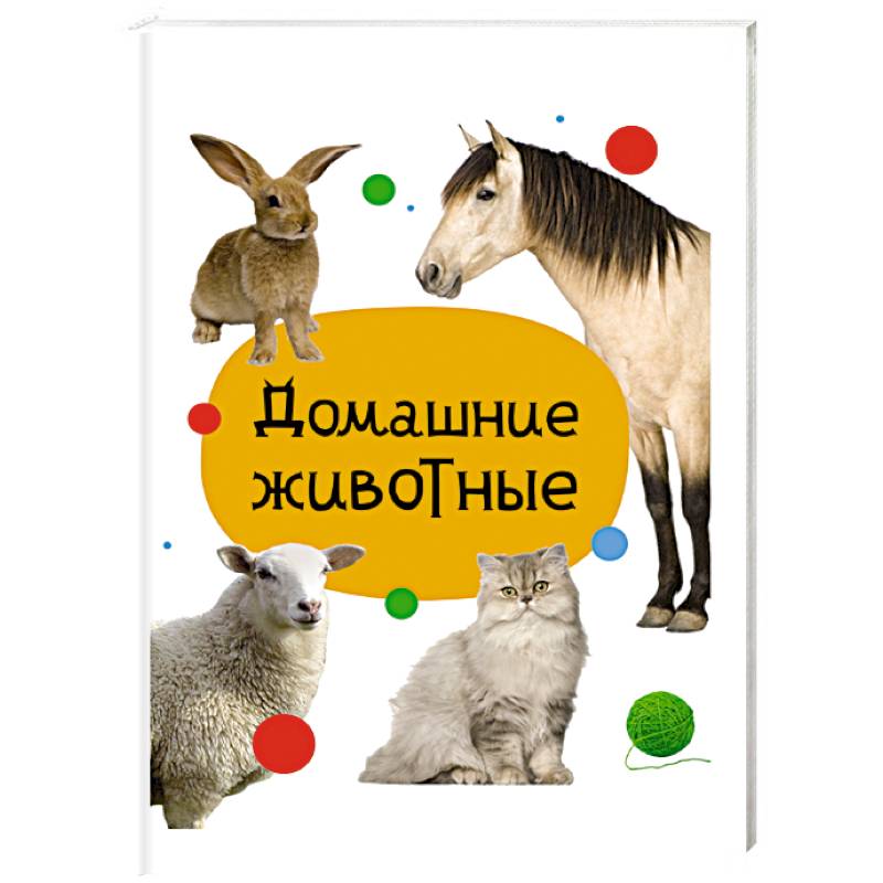Домашние животные Домашние животные
