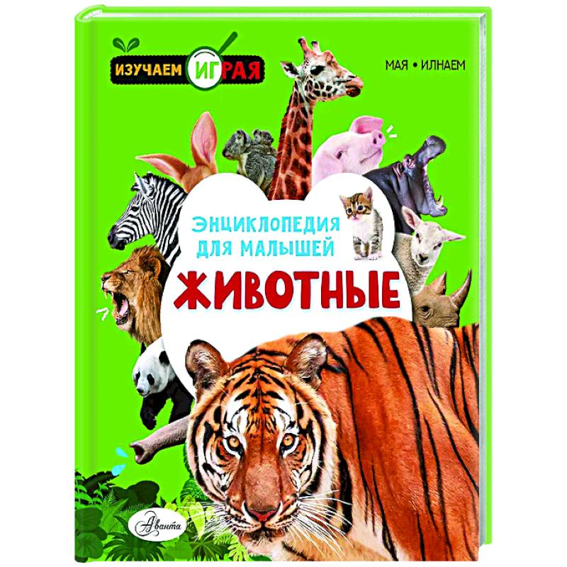 Животные Животные