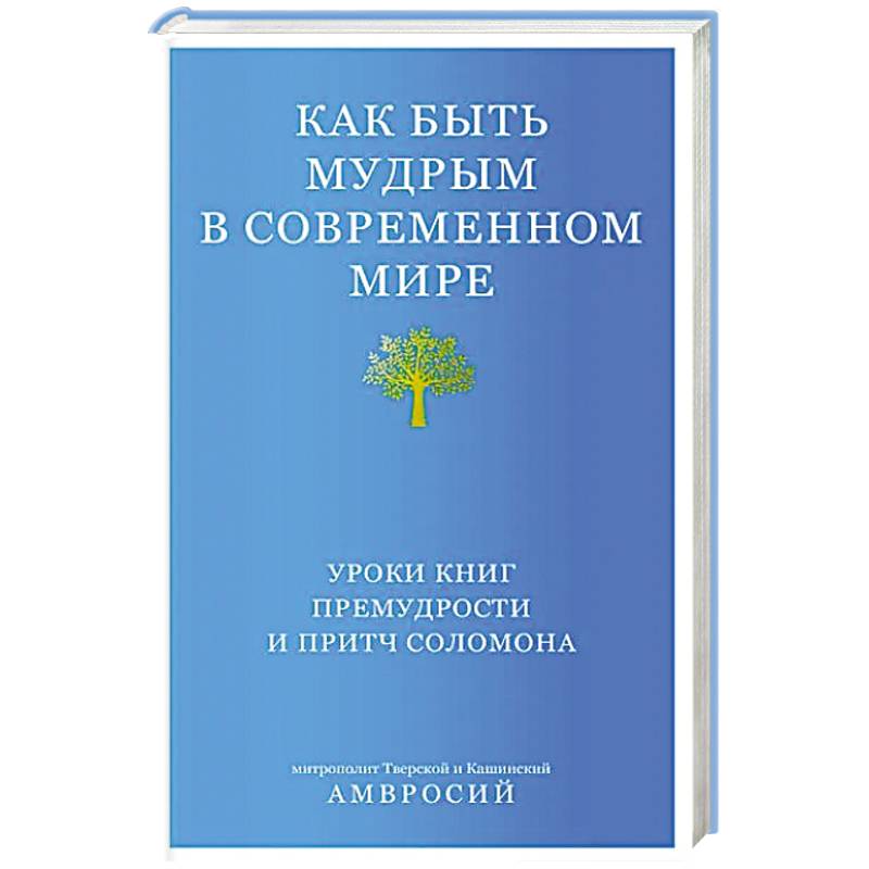 Как быть мудрым в современном мире. Уроки книг премудрости и притч Соломона