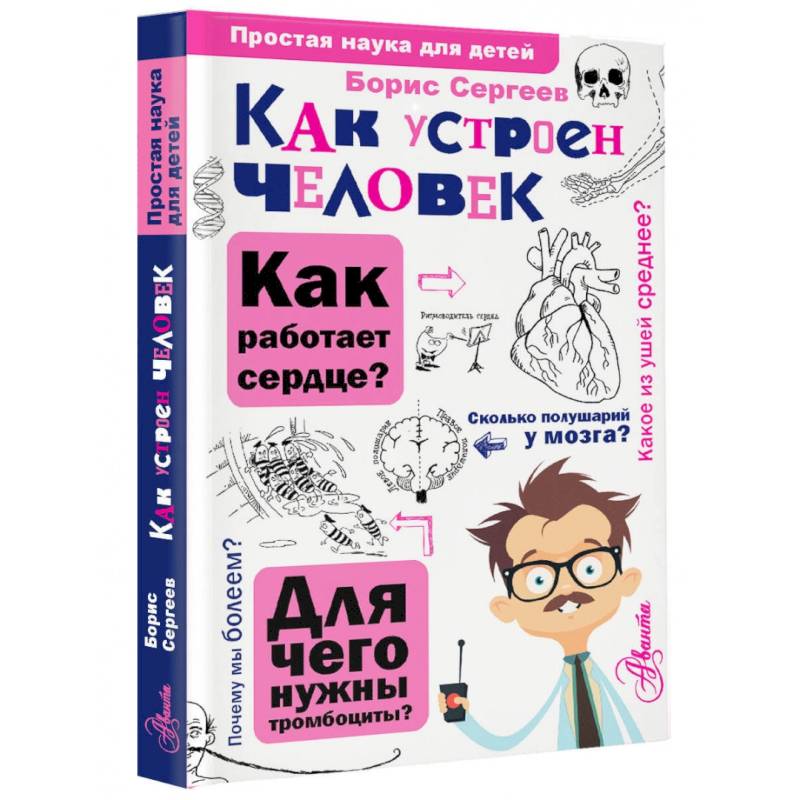 Как устроен человек Как устроен человек