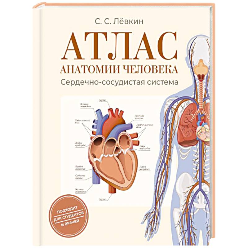 Атлас анатомии человека. Сердечно-сосудистая система Атлас анатомии человека. Сердечно-сосудистая система