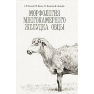 Морфология многокамерного желудка овцы. Монография Морфология многокамерного желудка овцы. Монография