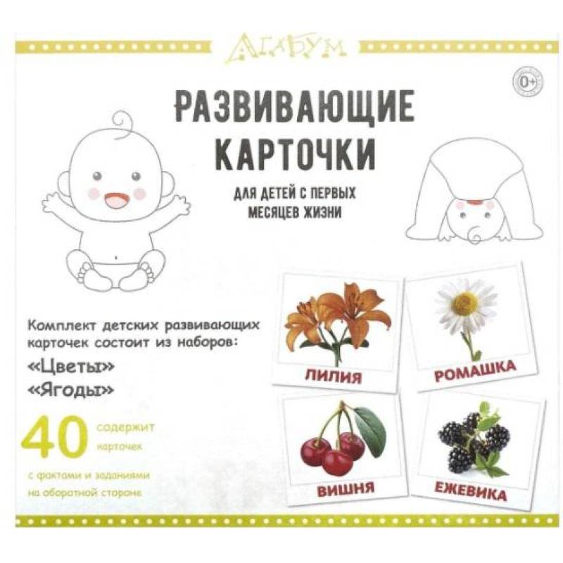 Развивающие карточки 'Цветы и ягоды' (40 карточек) Развивающие карточки 'Цветы и ягоды' (40 карточек)