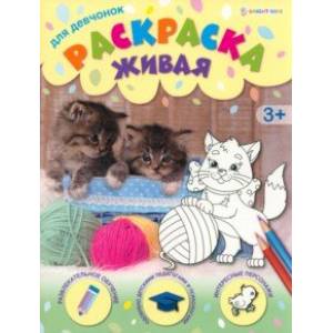 Раскраска живая Для девчонок