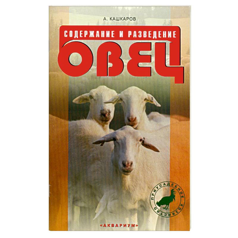 Содержание и разведение овец Содержание и разведение овец
