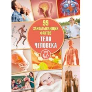 Тело человека Тело человека