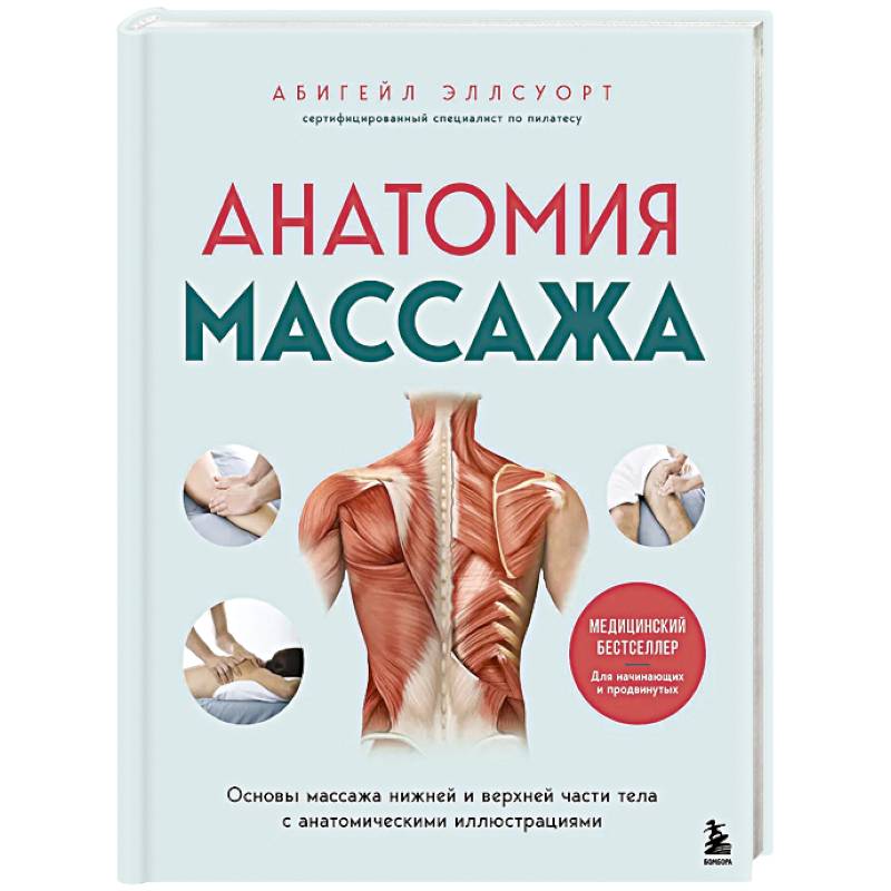 Анатомия массажа. Основы массажа нижней и верхней части тела с анатомическими иллюстрациями Анатомия массажа. Основы массажа нижней и верхней части тела с анатомическими иллюстрациями