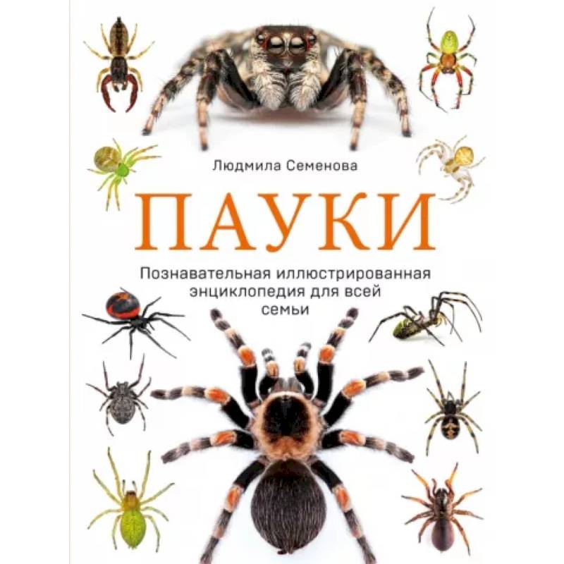 Пауки. Познавательная иллюстрированная энциклопедия для всей семьи Пауки. Познавательная иллюстрированная энциклопедия для всей семьи