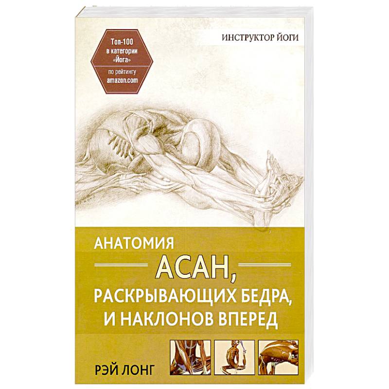 Анатомия асан, раскрывающих бедра, и наклонов вперед Анатомия асан, раскрывающих бедра, и наклонов вперед