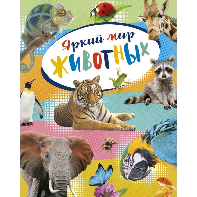 Яркий мир животных Яркий мир животных
