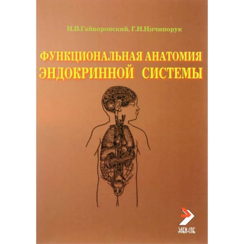 Функциональная анатомия эндокринной системы: Учебное пособие. 10-е издание Функциональная анатомия эндокринной системы: Учебное пособие. 10-е издание