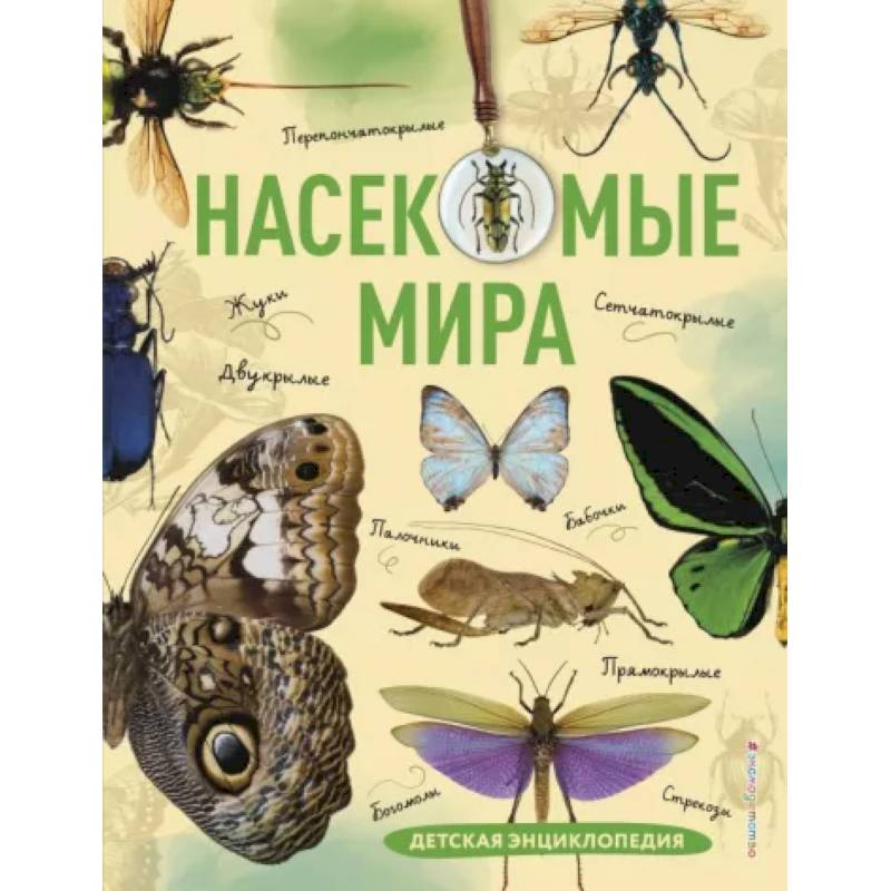Насекомые мира. Детская энциклопедия Насекомые мира. Детская энциклопедия