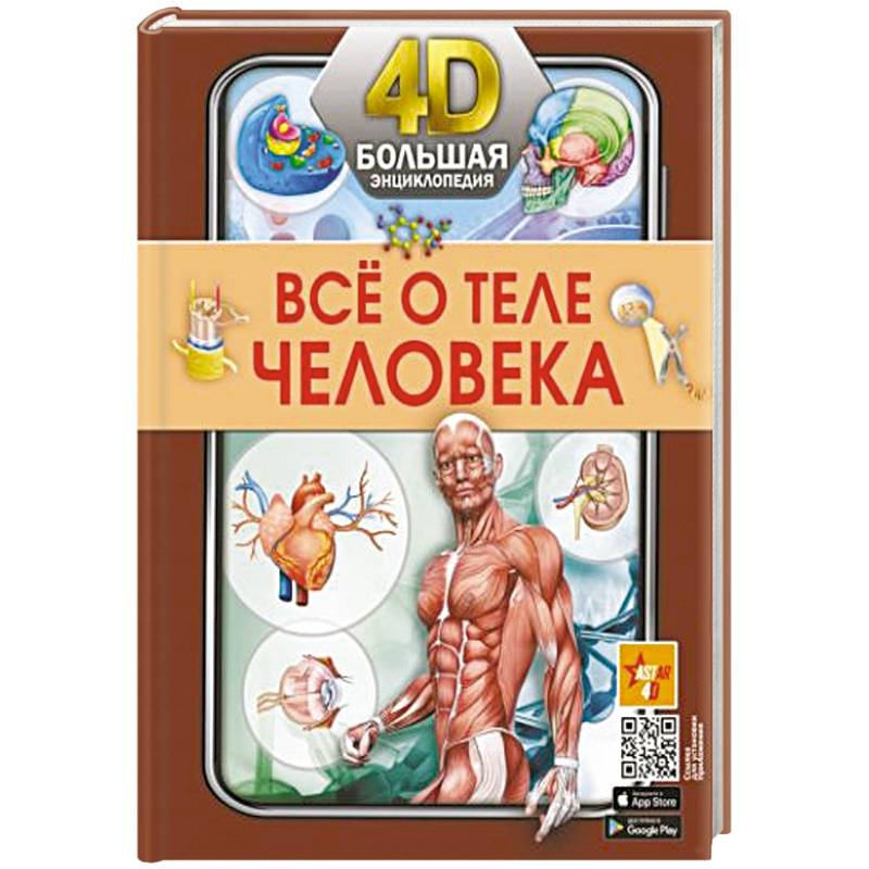 Всё о теле человека Всё о теле человека