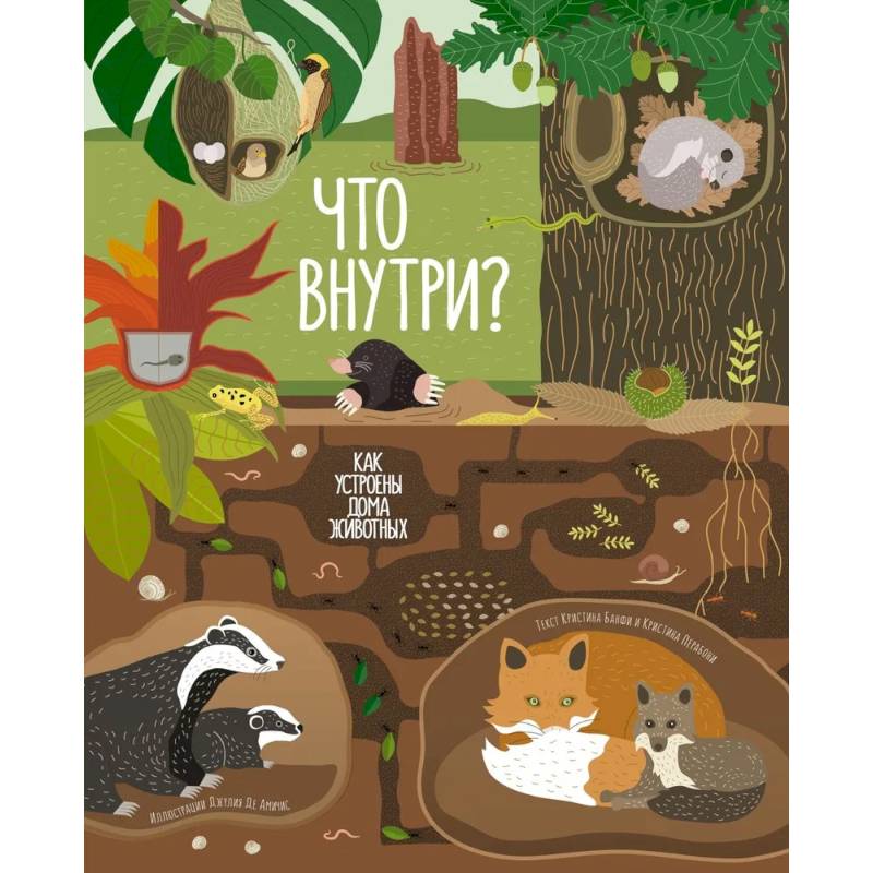 Что внутри? Как устроены дома животных Что внутри? Как устроены дома животных