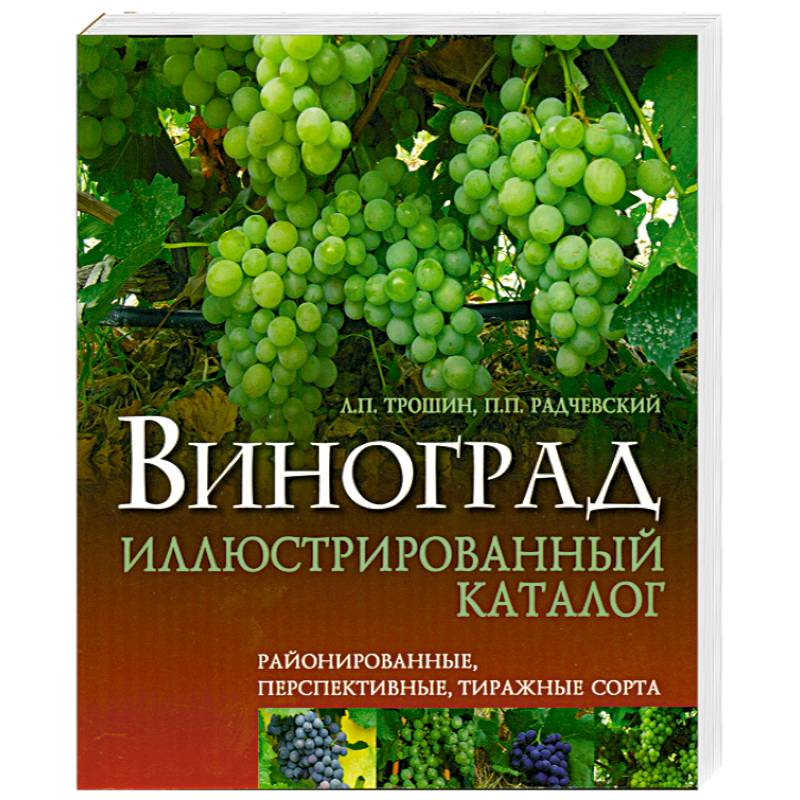 Виноград иллюстрированный каталог