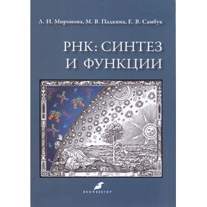 РНК: синтез и функции РНК: синтез и функции