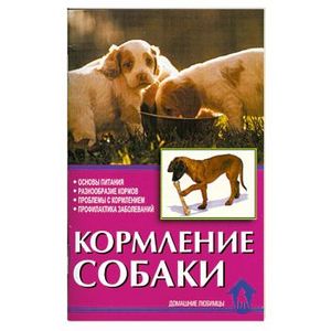 Кормление собаки