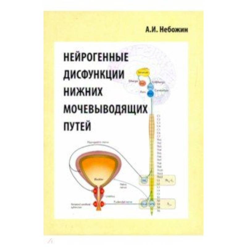 Нейрогенные дисфункции нижних мочевыводящих путейй Нейрогенные дисфункции нижних мочевыводящих путейй