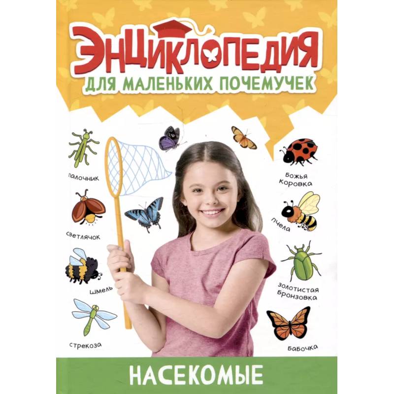 Насекомые Насекомые