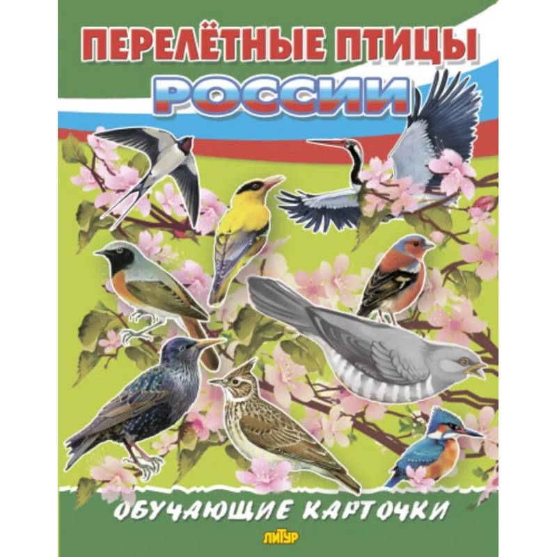 Перелетные птицы России