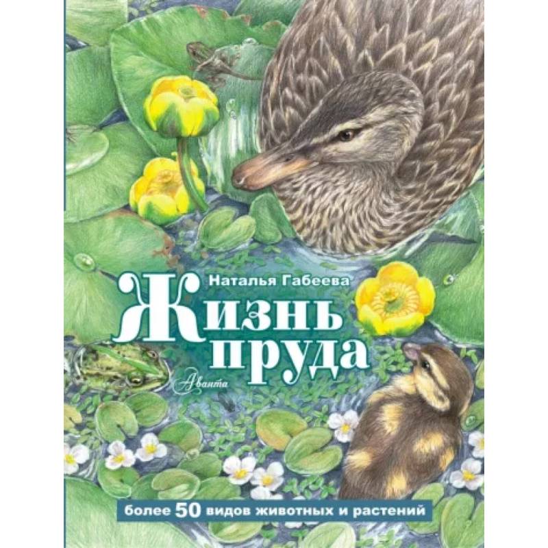 Жизнь пруда Жизнь пруда