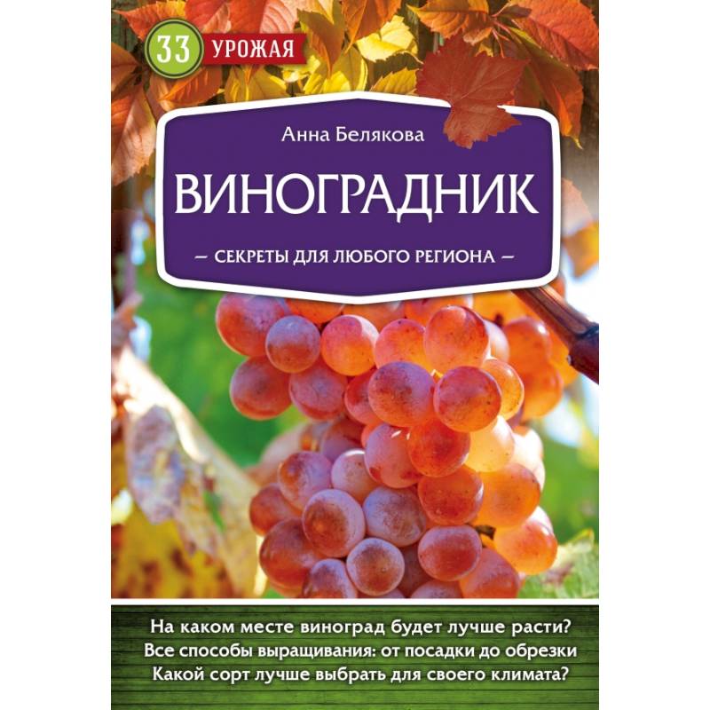 Виноградник. Секреты для любого региона