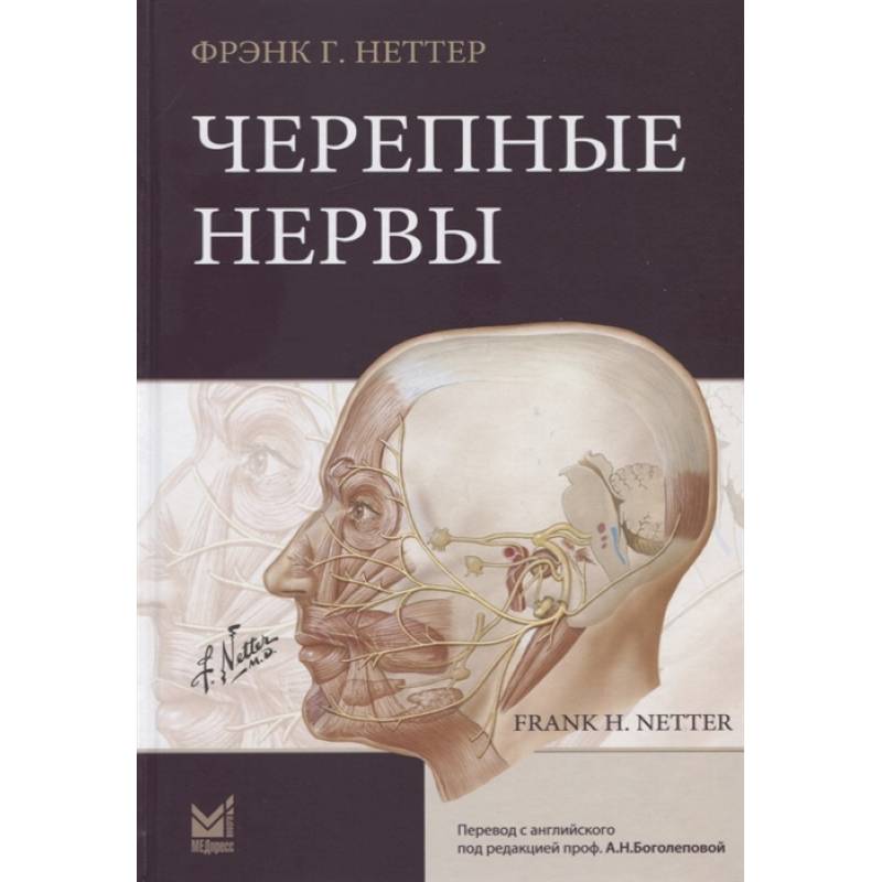 Черепные нервы Черепные нервы