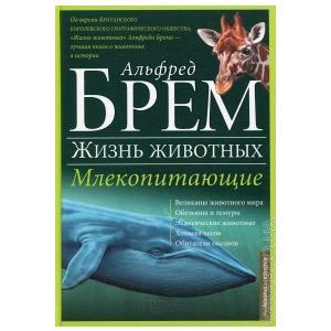 Млекопитающие Д-К