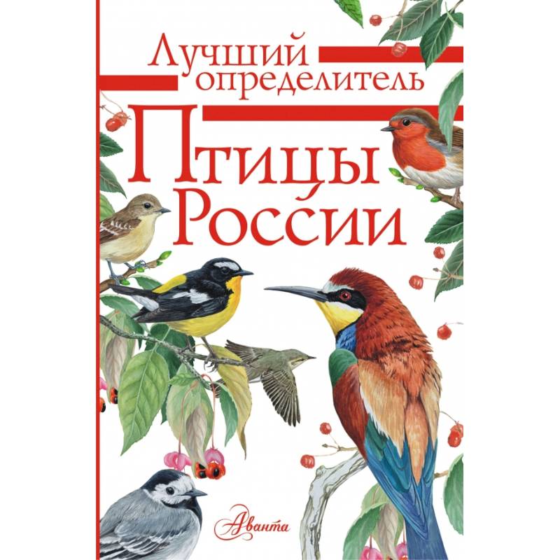 Птицы России Птицы России