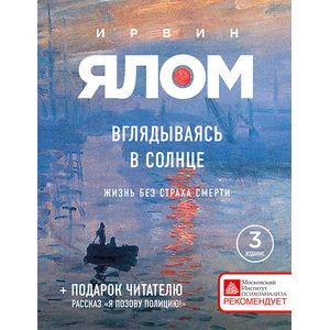 Вглядываясь в солнце. Жизнь без страха смерти