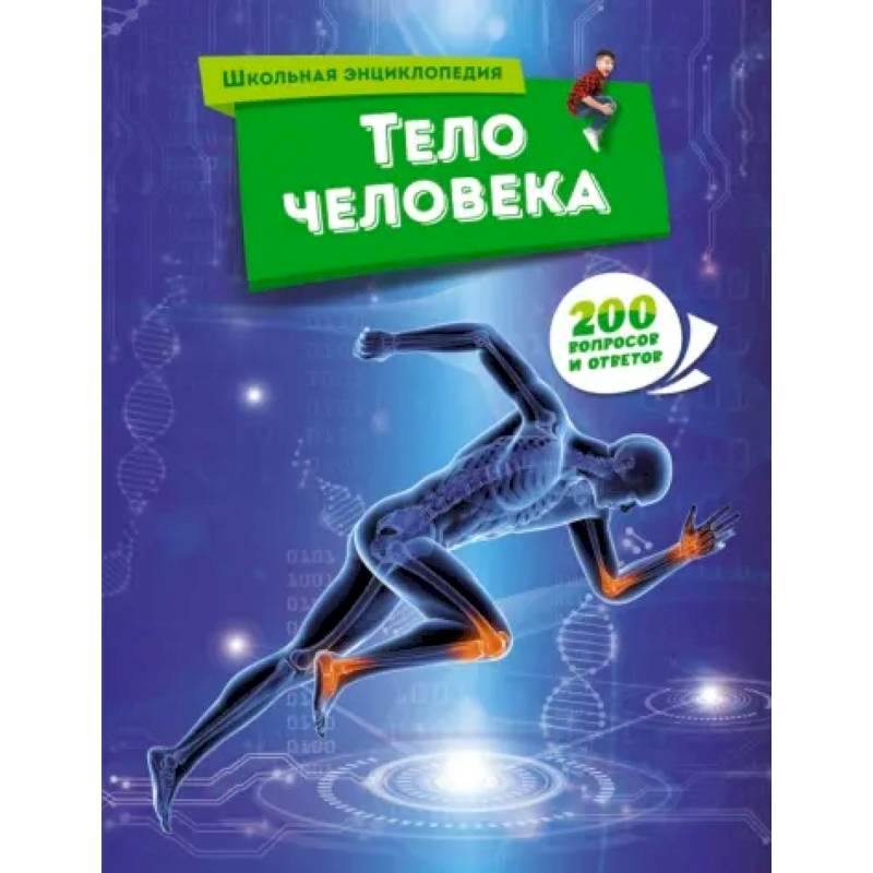 Тело человека Тело человека