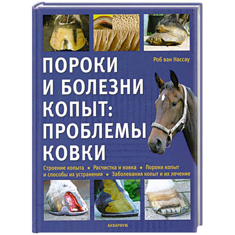 Пороки и болезни