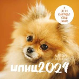 Шпицы. Календарь настенный на 2024 год
