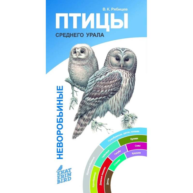 Птицы Среднего Урала.Воробьиные и неворобьиные:веер-определитель Птицы Среднего Урала.Воробьиные и неворобьиные:веер-определитель