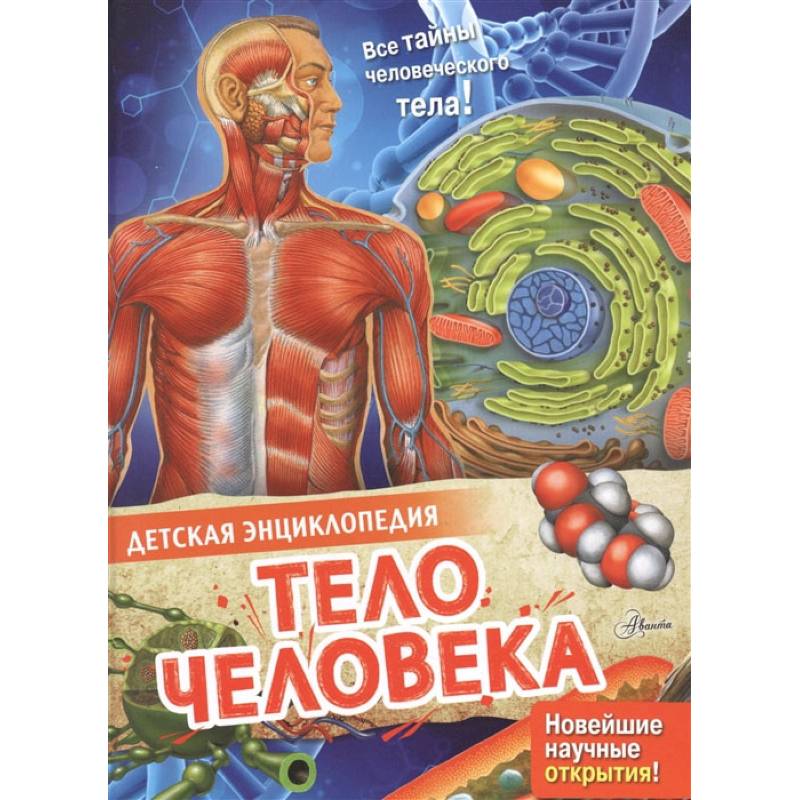Тело человека