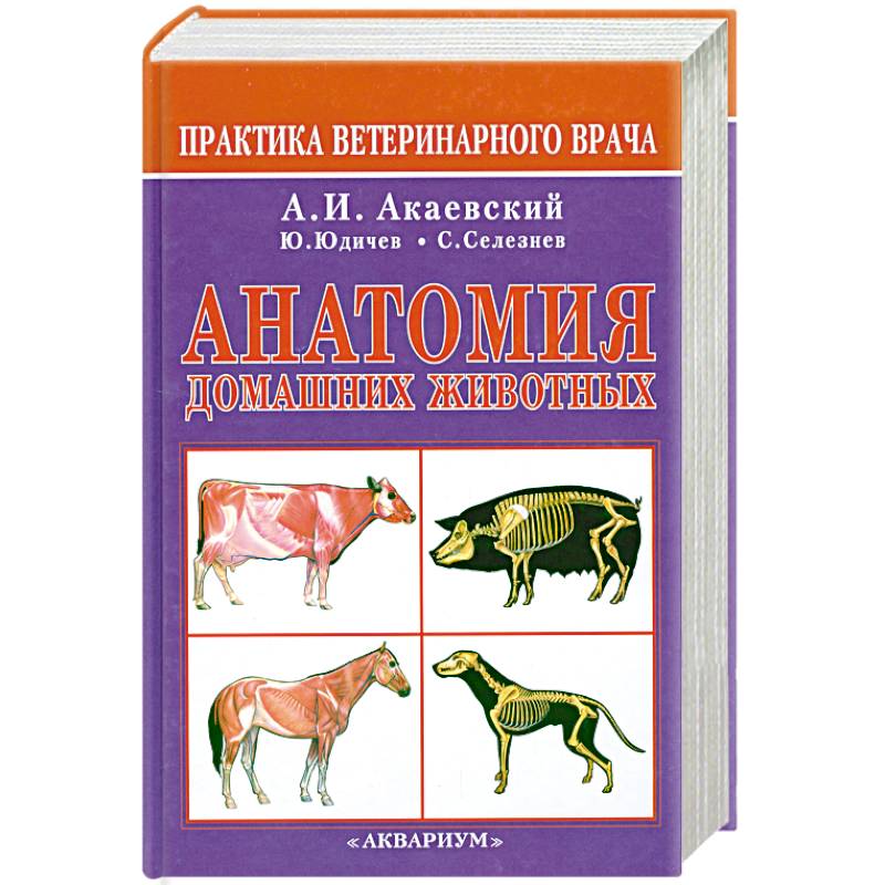 Анатомия домашних животных