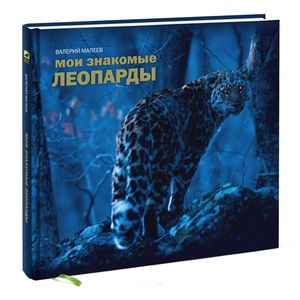 Мои знакомые леопарды